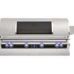 Fire Magic - Echelon E1060i 48-Inch Built-In  Grill With Digital Thermometer