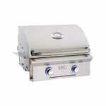 American Outdoor Grill L-Series 24-Inch 2-Burner Built-In Gas Grill