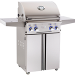 American Outdoor Grill L-Series 24-Inch 2-Burner Propane Gas Grill