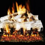 Real Fyre Mountain Birch Logs with G45 Burner