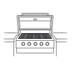 Built-In Grills