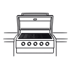 Built-In Grills