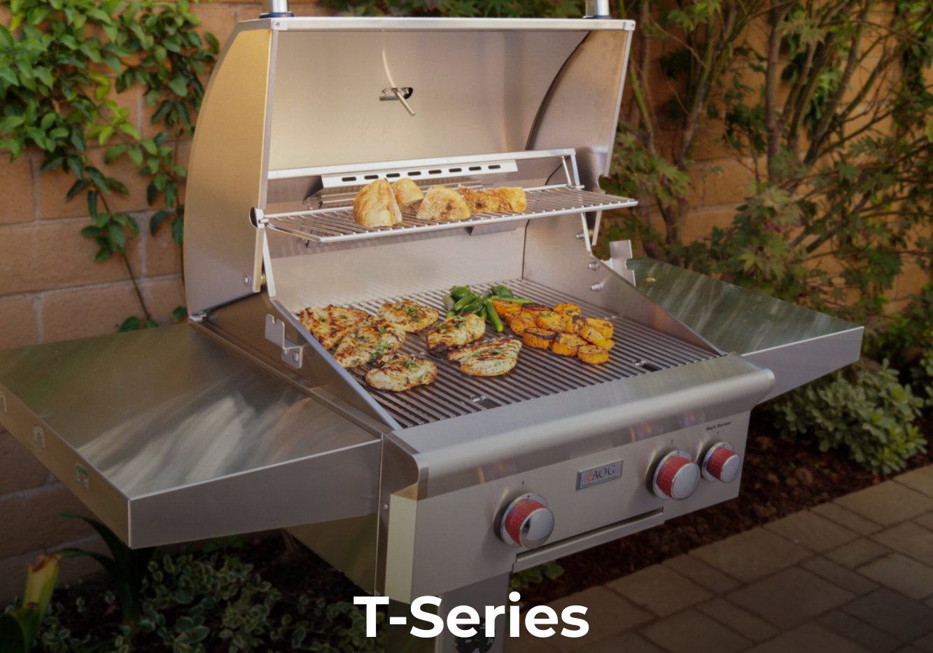 t-seriesnew2